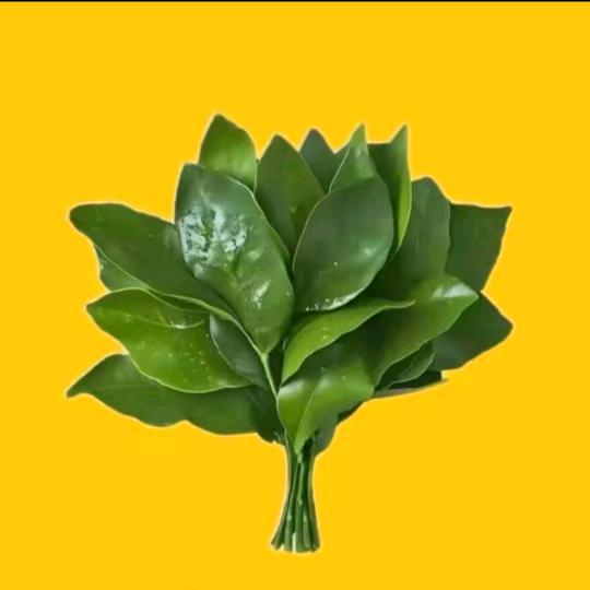 任意门
