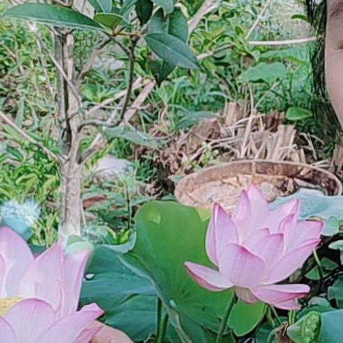 天外天739（（拒绝私聊））结交有缘人