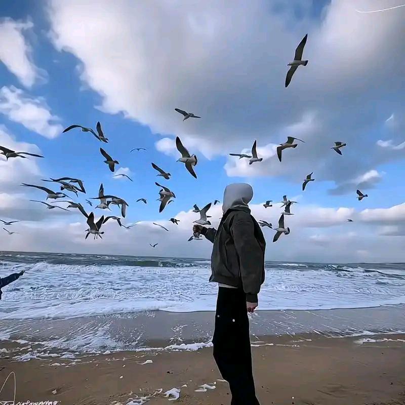 为你剪片❤精选短剧