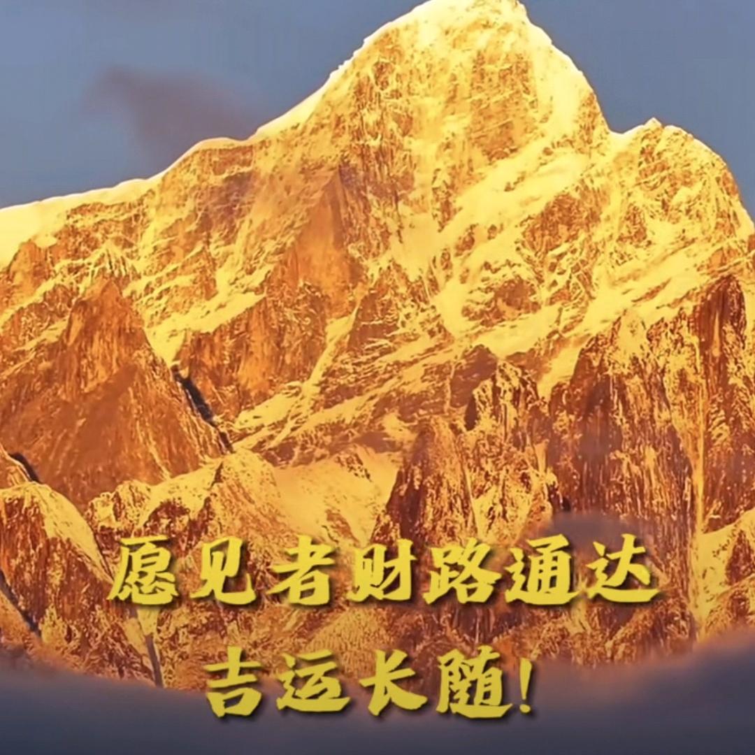 不鉴定28案病历就是捂真相2