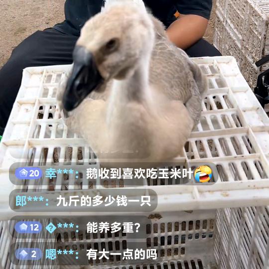 爱你么么哒。