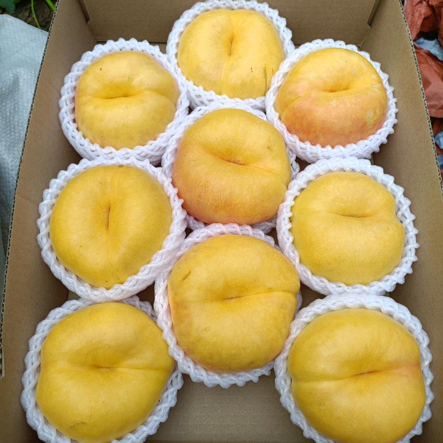 媛媛家大桃🍑