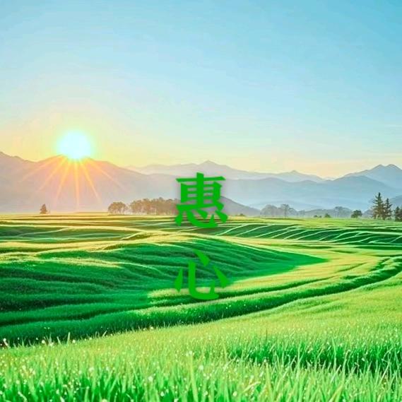 泰山老奶奶 惠心