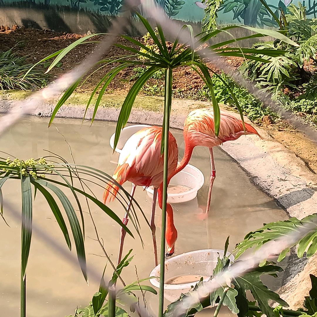 (ง •̀_•́)งLUO