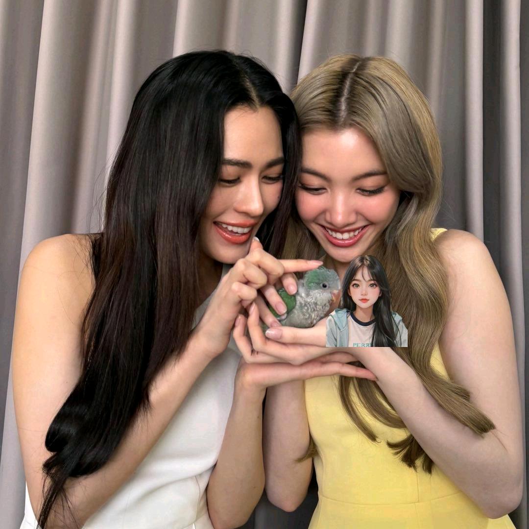 你少管美女的事_