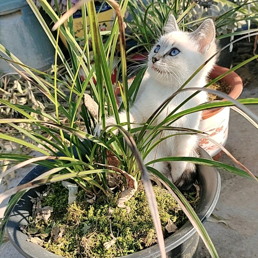 心无所系丶随遇而安