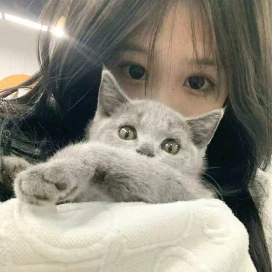 Yan.ᥫᩣ