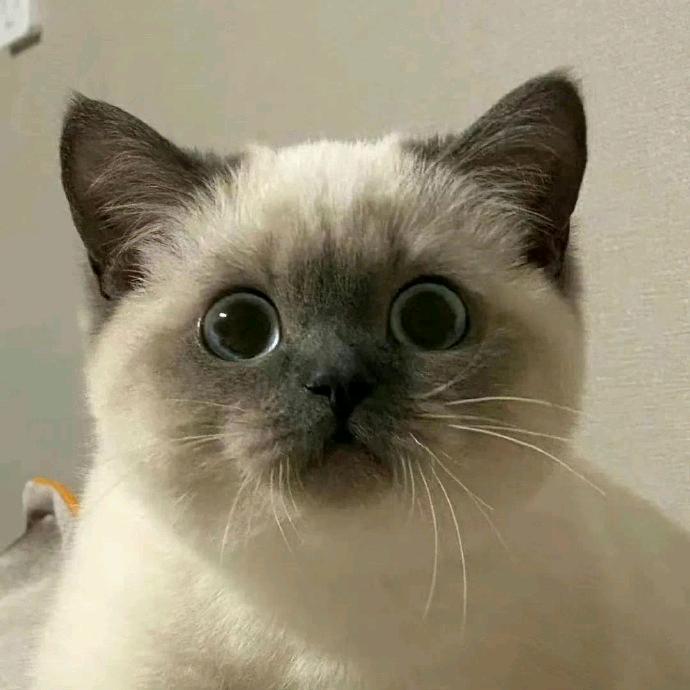 苏青枝