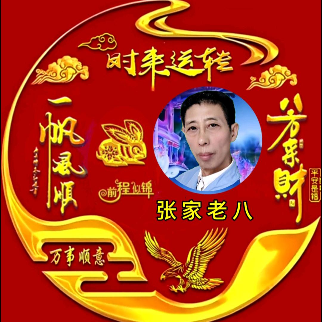 张家老八