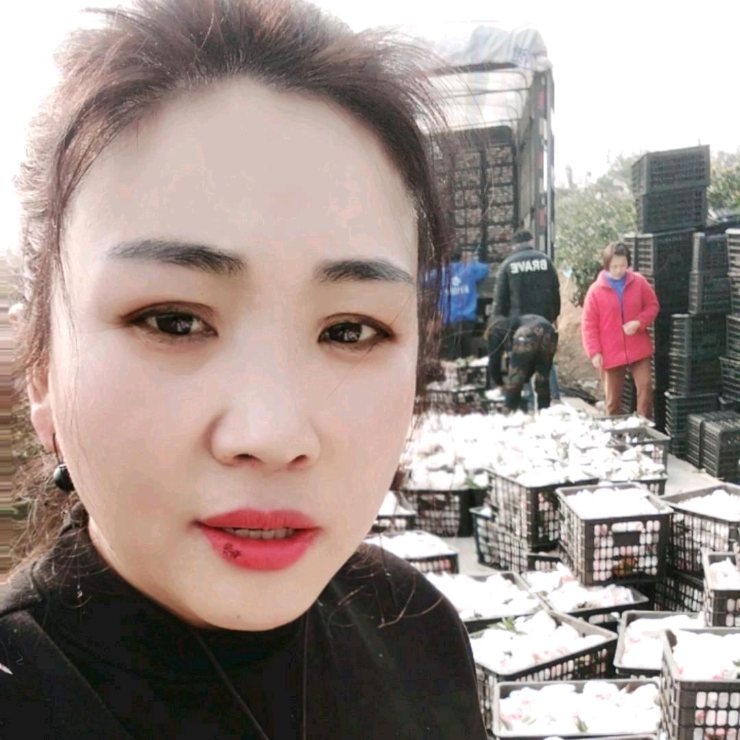 慧慧代销果业