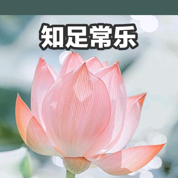 奶香🌽粒