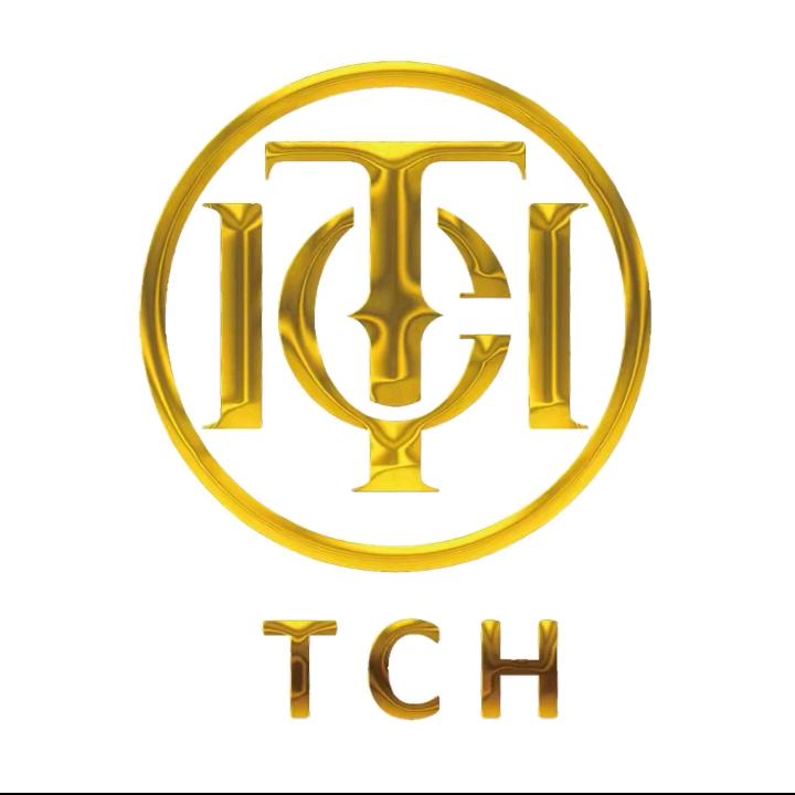 西安赛格TCH