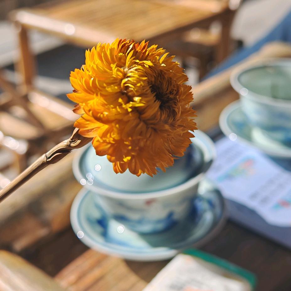 小农—半生浮云