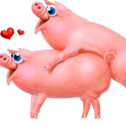 🐖隔山打牛🐖