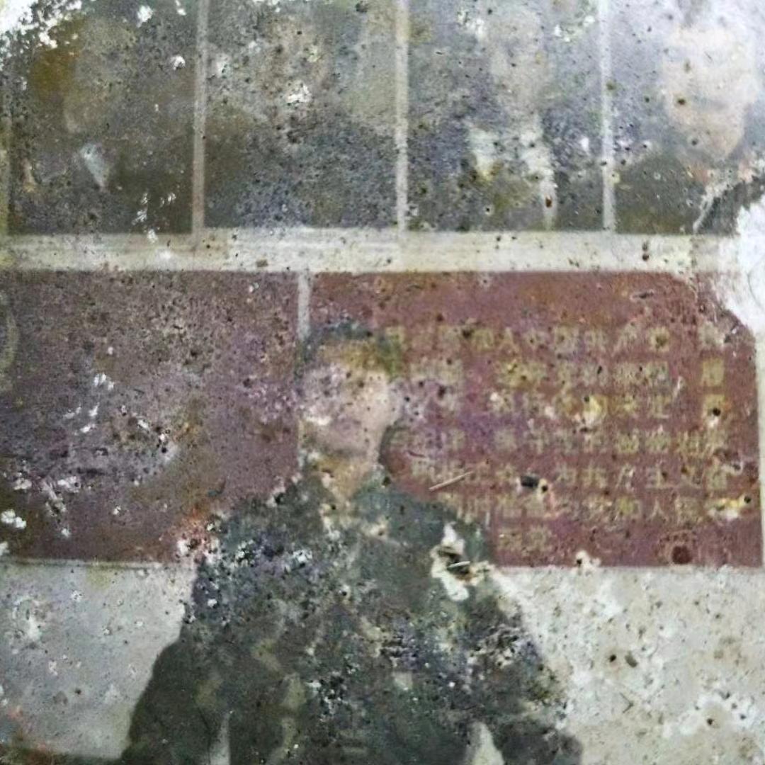 为人民服务加油干（哈儿农民哥）