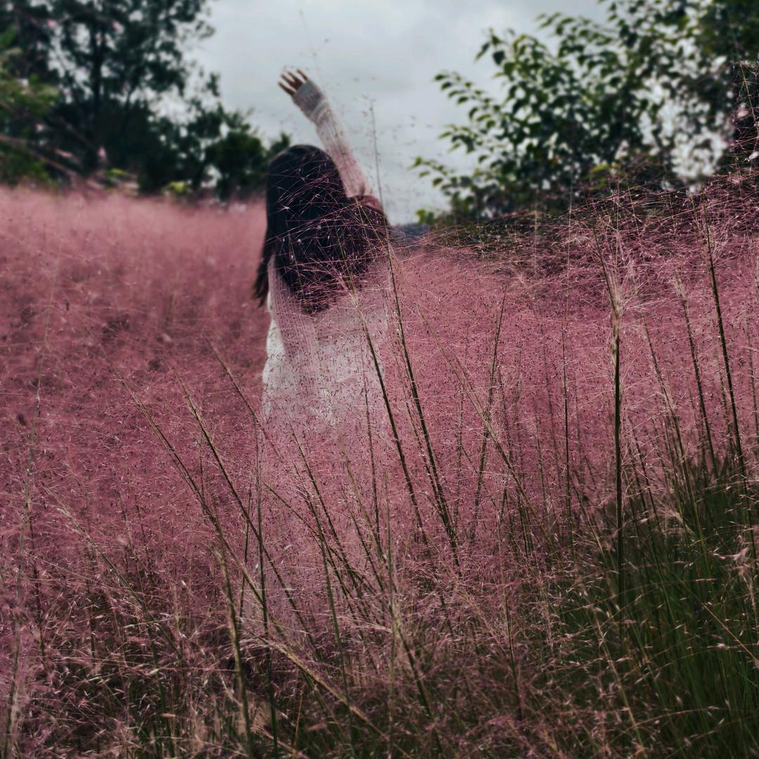 🐭Outsider 局外人