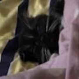 黑猫猫黑
