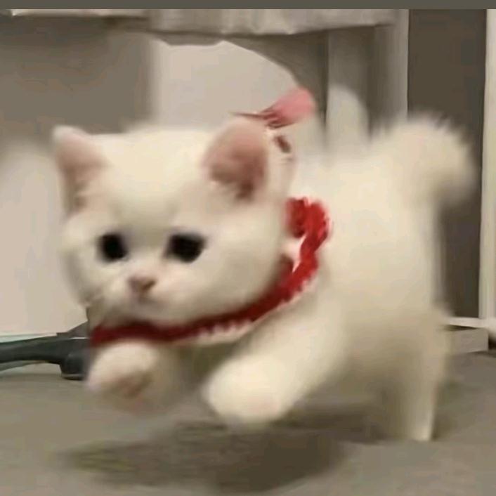 乌托邦  (ૢ˃ꌂ˂⁎)