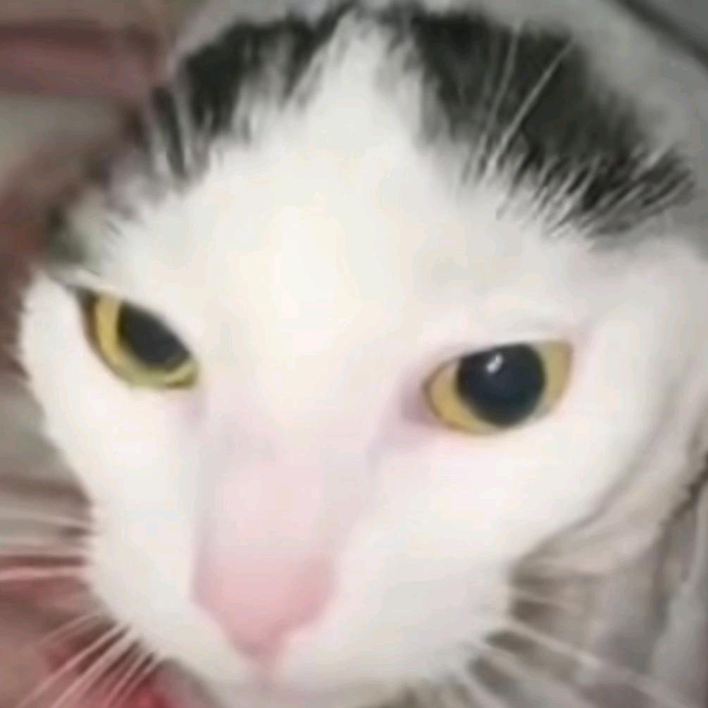 这辈子只玩乌鸦