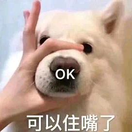 @越狱的游戏搬砖🌈