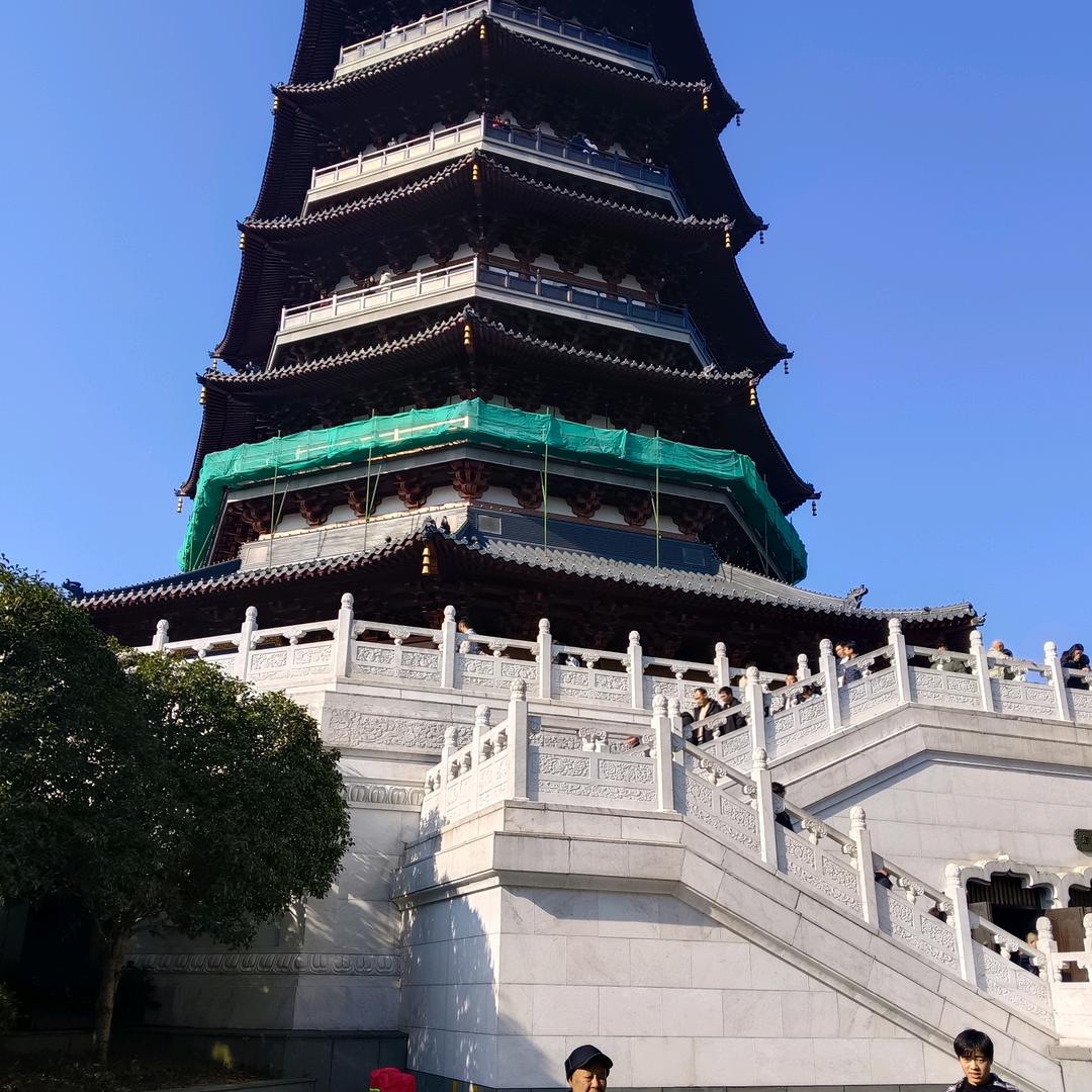 玫瑰花