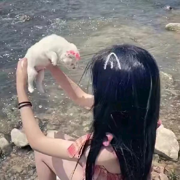 忠爱