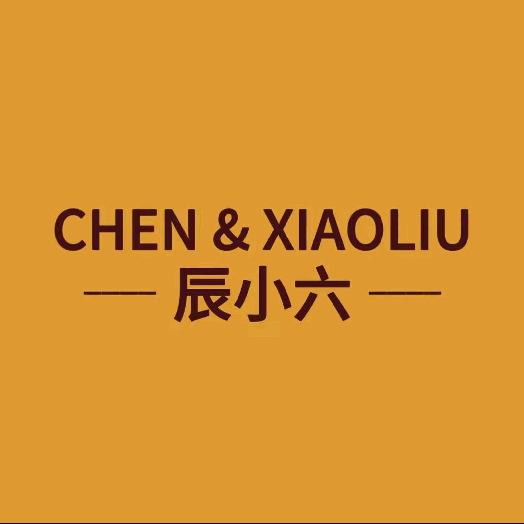 辰小六真皮鞋柜