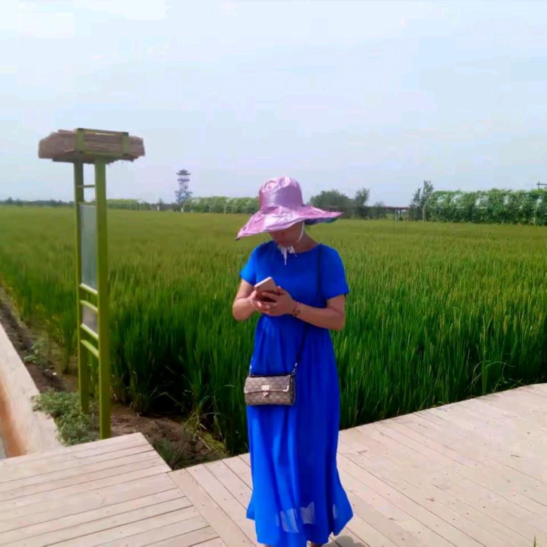 芳草夏雨