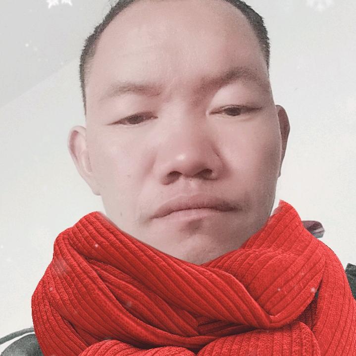 彬彬有李