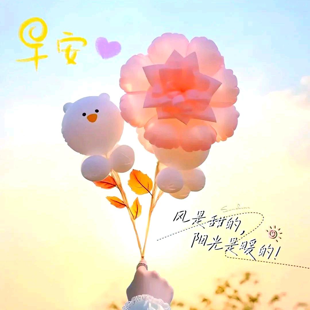 B榴分头像