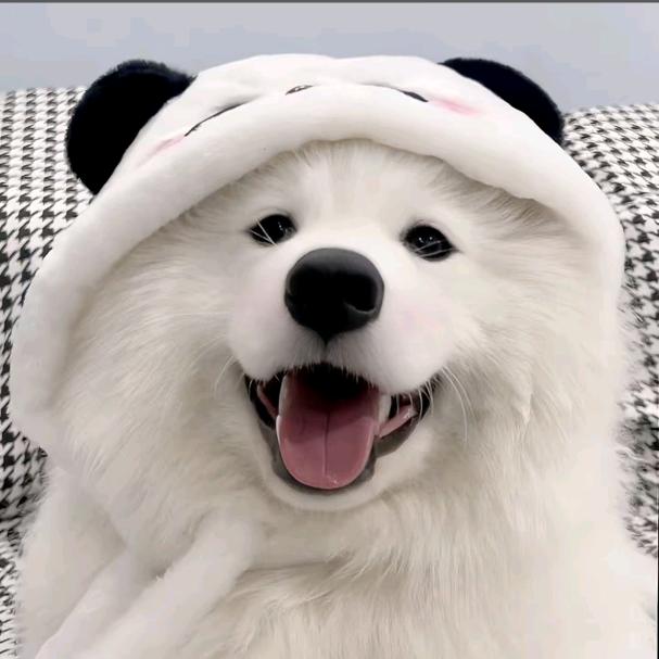 阿雯吃饱了🌾（见过十勤版）