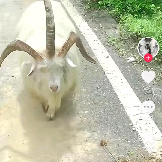 高价回收旧手机