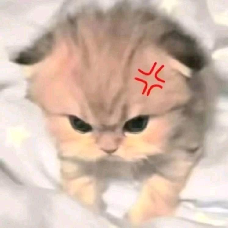 甜甜圈