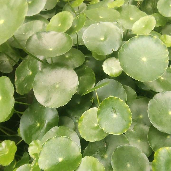 一切随缘