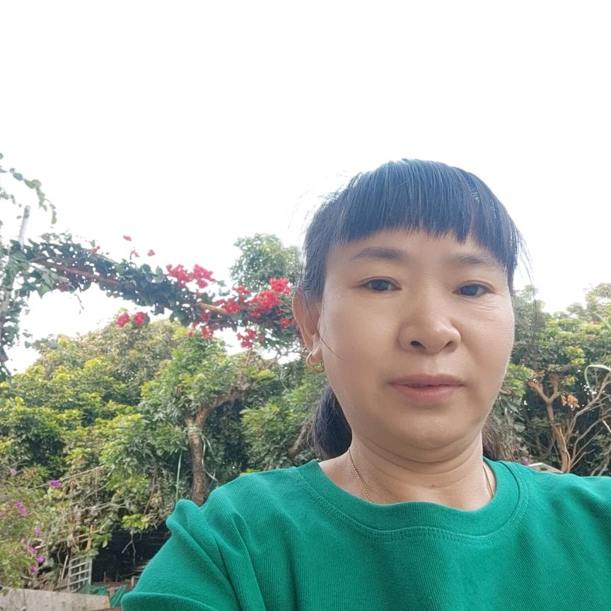 琴姐姐