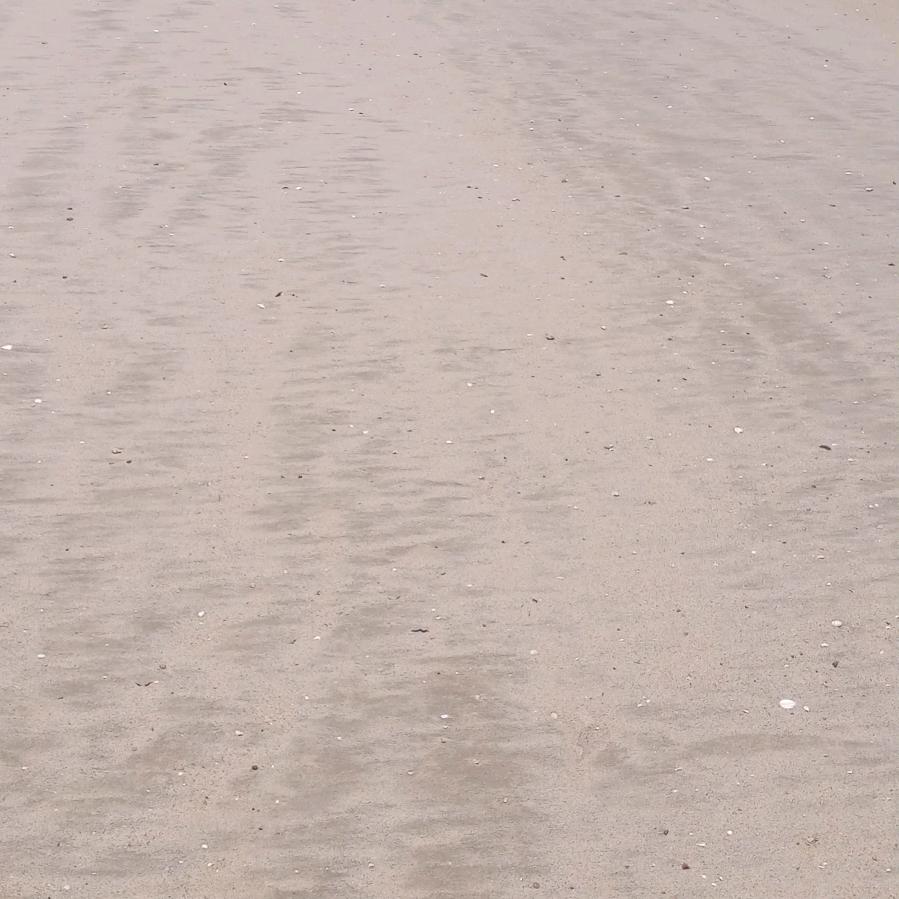 思钱想厚