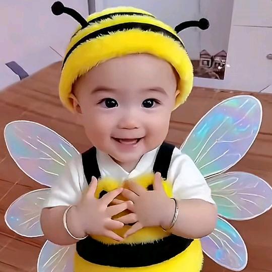 银川同城好房推荐