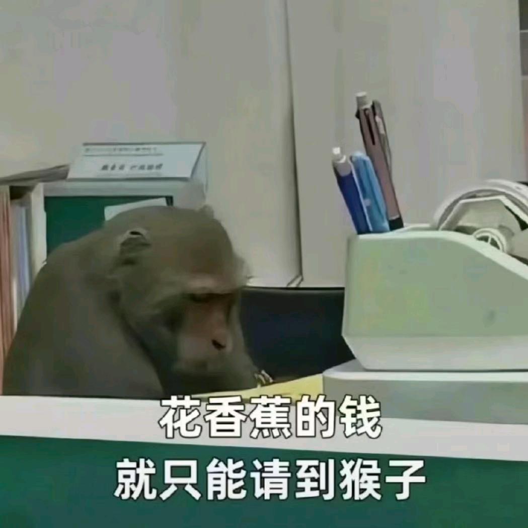 终意-马戏团一周年