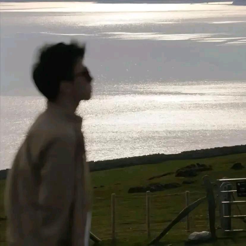 YL