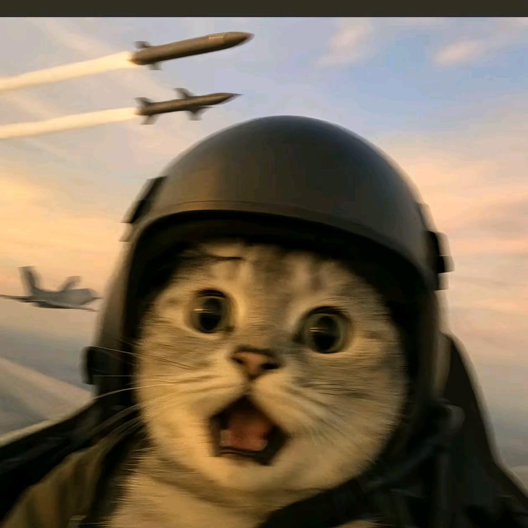 逢花（三角洲行动）