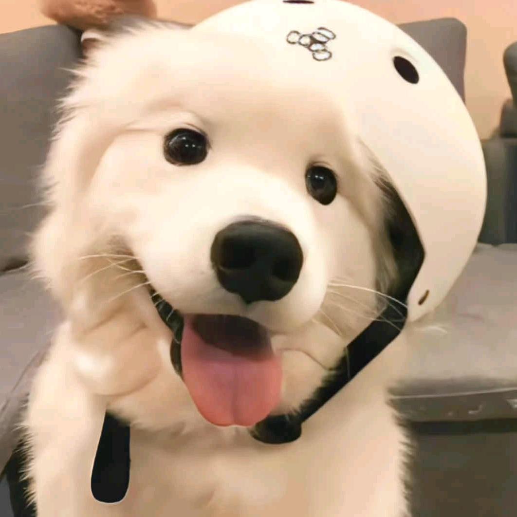 _清野