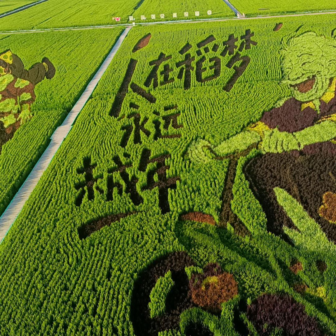 玖玖沉默