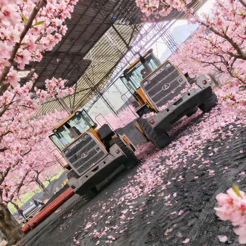 ℒᎭℯ⃝奶茶 9꧔ꦿ分甜 ᭄