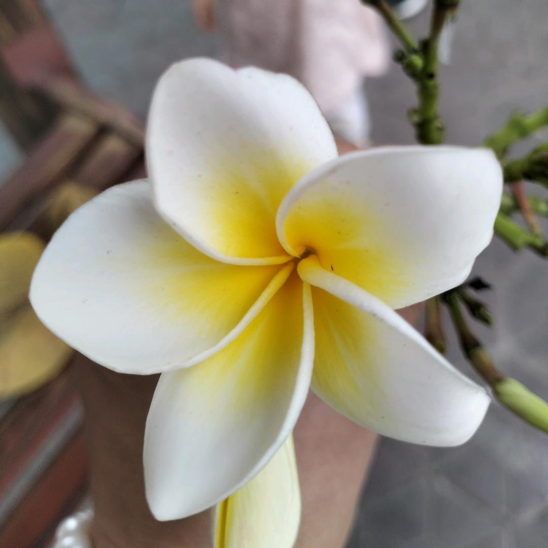 上善若水'🌻🌻🌻