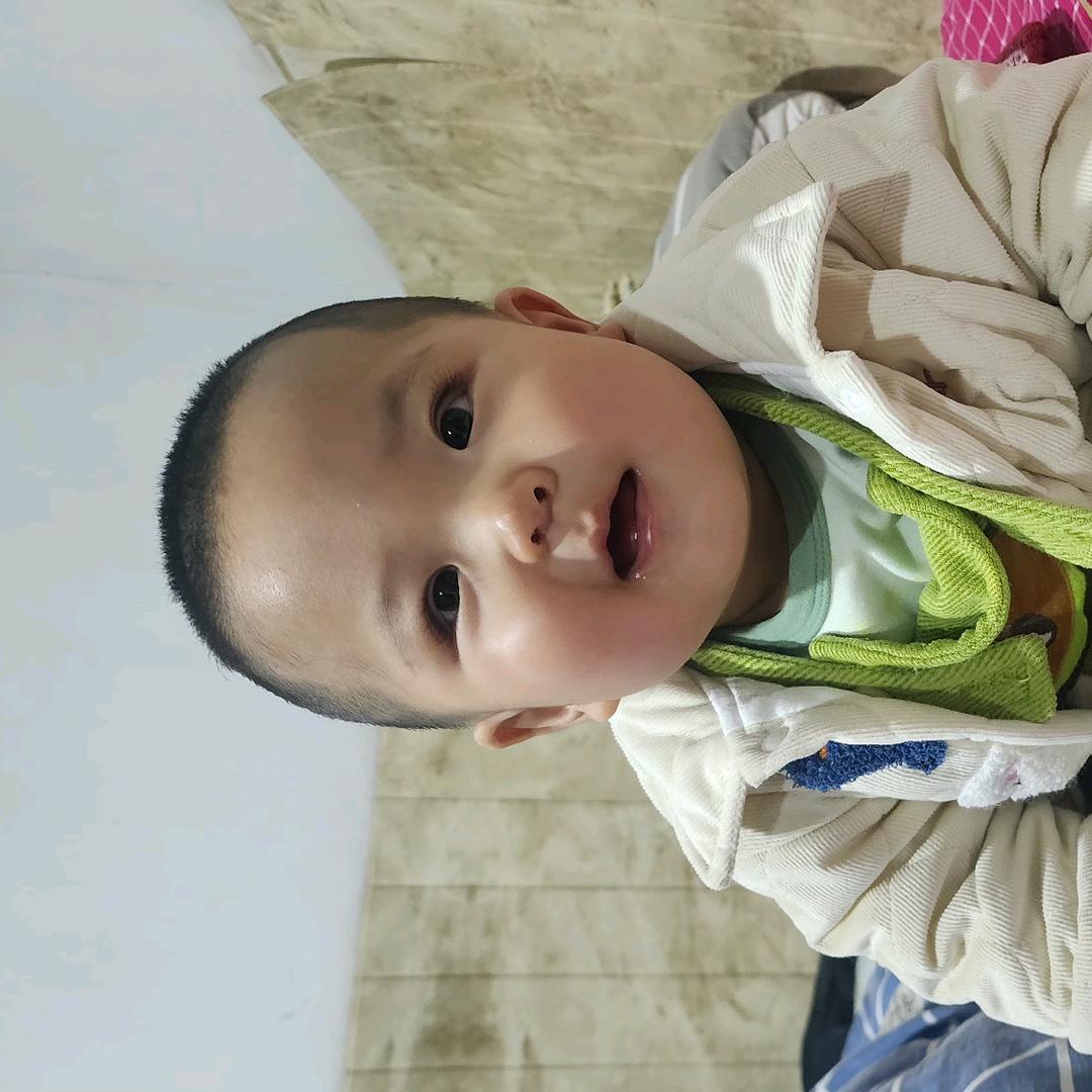踏雪凌云818