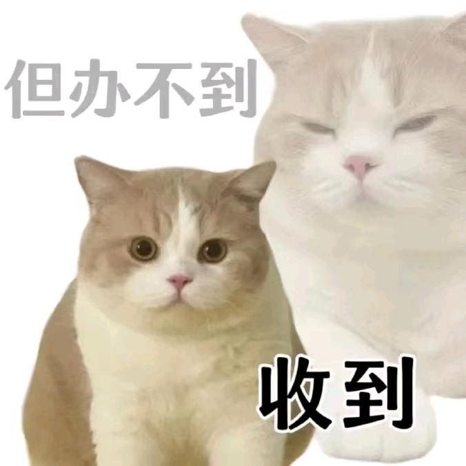 Jdjsiwjhd