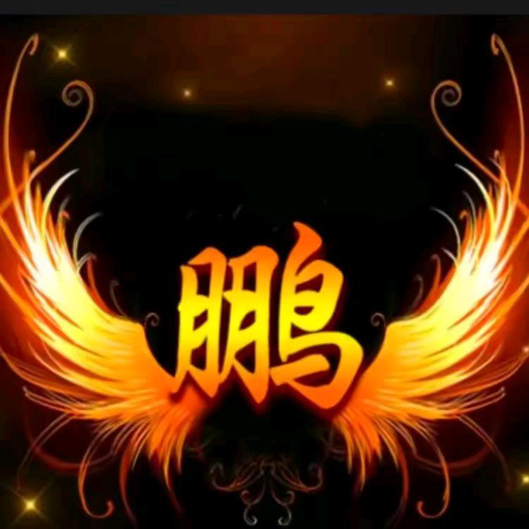 鹏（｡ò ∀ ó｡）