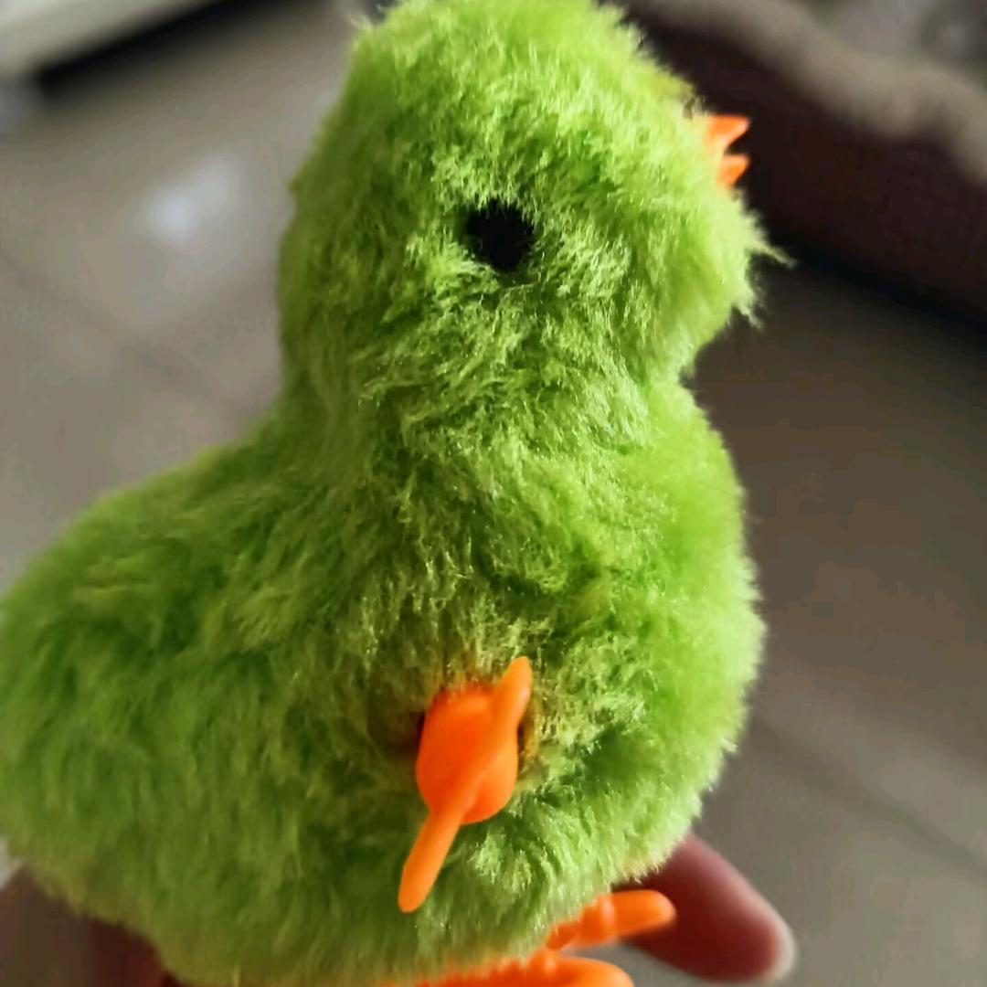 小玥猫