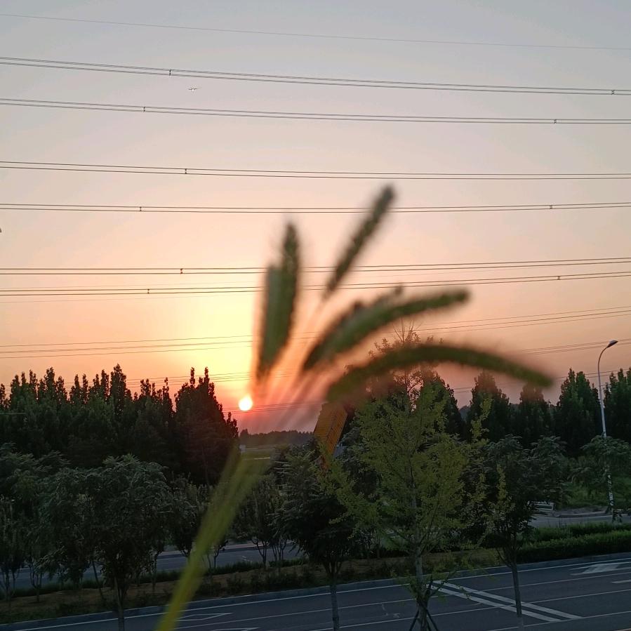 壹玖捌柒