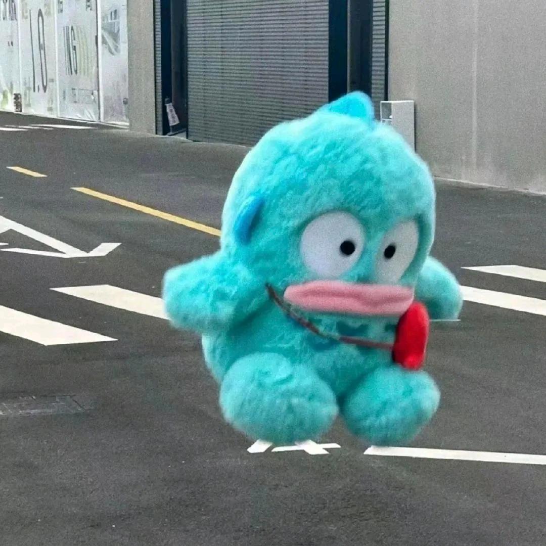 小蛋